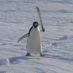 바연길 작가님 <b>휴재</b>하신거 나만 지금봣냐