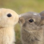 [댓글부탁해] 지금 <b>무리</b> 바꾸기에 늦음??