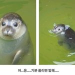 나도 우리가족 mbti 궁예