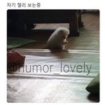 나 <b>의대</b> 가고 싶은데 정시 파는 게 낫겠지...?