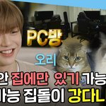 [강다니엘] [엠뚜루마뚜루] 나혼자 산다 고양이부터 <b>PC방</b>까지