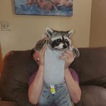 [댓글부탁해] 공부하기싫어서 노래만들엇음ㅎㅎ...