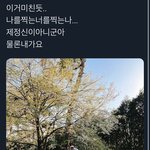 [NCT즌] 정신이 <b>혼미</b>함