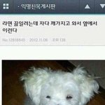 아이폰은 한번사면 오래쓰지않냐