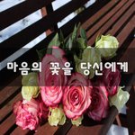 [너가봤으면] 마음의 꽃을 당신에게~
