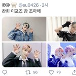 [더보이즈] <b>앙큼</b>키티를 고소합니다