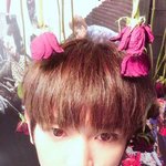 [우리태용님] <b>장미</b> 태용