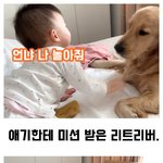 [강아지] 별의 별 짓으로 <b>베이비</b>시팅하는 강아지!