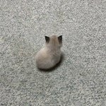 [더보이즈] 오쏠레<b>미오</b>