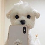 [TXT] 범규
