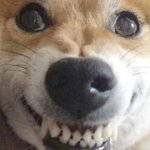 [NCT즌] 시험 5일전에 트위터 계정을 만든 고<b>삼수</b>시러가 있다??????