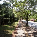 가장 설렜던 시험날을 추억하기위해