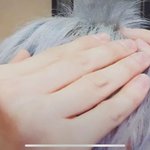 염색 많이 해서 머리카락 끊어진 K돌들