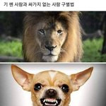 [드루와] 병원 약 <b>처방</b> 있잖아