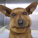 나 이번 중간 평균 3중후반 뜰 거 같음