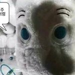 [스키즈] 스키주내놔잉..