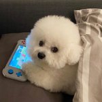 인스타 <b>알람</b> 왜이래