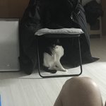 애용이 육아일기2