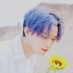 [BTOB] 나 영업댓글 쓰다가...