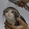 고1<b>첫시험</b> 등급