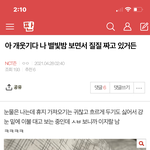 [NCT즌] <b>어제</b> ㅇㅈㄹ했던 앤데