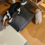 [NCT즌] 진짜 엔시티 <b>동물</b> 유닛 만들어주라...