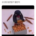 [펜타곤] 시너니 팝콘잡기<b>챌린지</b>