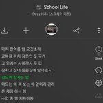 [스키즈] 애들한테 물어보고싶은거