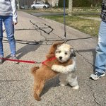 [댓글부탁해] 왜 한문교육과가 일어<b>일문</b>보다 낮냐