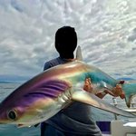 <b>생소</b>한 색감으로 놀랄 동물들