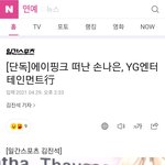 손나은 <b>YG</b> 들어간대