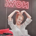 현재 스케줄 다 취소한 아이돌