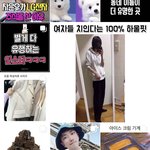 ㅇㄴ <b>제</b><b>이호</b>가 브라우니 들고있는줄 ㅛㅂㅌㅌㅋㅋ