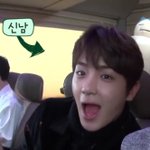 [더보이즈] 강아지냐