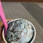 [조언부탁해] <b>용인</b>외대부고