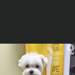 고1 벌써부터 <b>수포</b>자 되는 거 어리석은 거야?