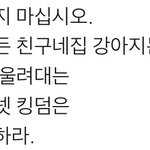 [더보이즈] 강아지를 울리지 마십시오