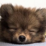 [NCT즌] 그만 싸워라 좀 이거 보고 기분 <b>풀자</b>