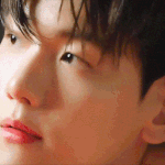 <b>기여</b>운 북현잉