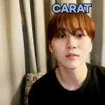 [세븐틴] 심장벌렁벌렁