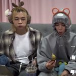 [NCT즌] 얘네 이거 같지않냐
