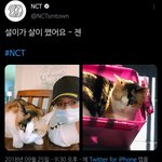 [NCT즌] 세상에서 제일 <b>무해</b>한 트윗 1위