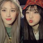 근데 사쿠라 왜 싫어함? 왜 욕먹는거야?