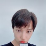 <b>기여</b>운 종이니