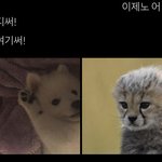 [NCT즌] 무서우니까 짤 <b>투척</b>