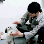 [NCT즌] 툥이가 <b>올때</b>가 됐는데