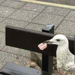 [댓글부탁해] 니네 이 영<b>상보</b>셈;;;