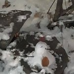 진짜 너무너무 <b>긍정</b>적인 애들 들어와주라ㅠㅠ