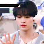 [스키즈] 자기손 <b>젤리</b> 구경하는 고양이