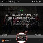 [스키즈] 멜론 99°다!!!